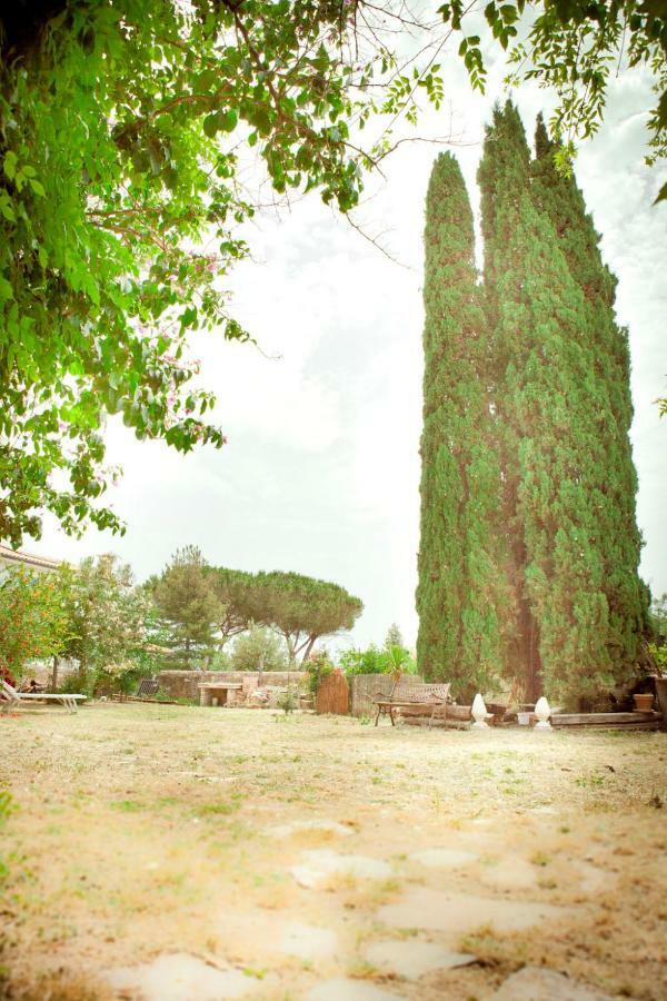كامبيليا ماريتيما Il Pievano B&B المظهر الخارجي الصورة